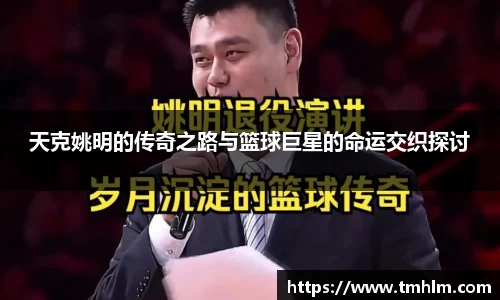 365完美体育官网