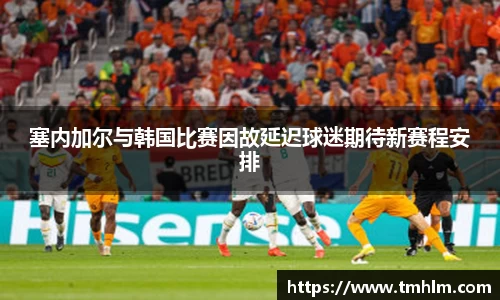 完美体育登录入口